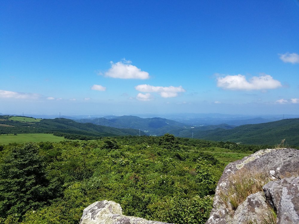 🏞️ 타네야마 고원(타네야마코겐) 이미지 1